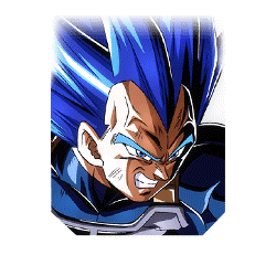 [Fight to Protect Pride and Keep Oaths] Super Saiyan God SS Evolved Vegeta